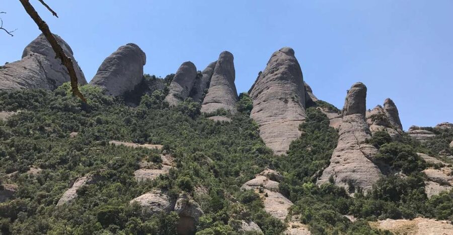 From Salou: Montserrat Monastery and Colonia Güell - The guide and the multilingual format
