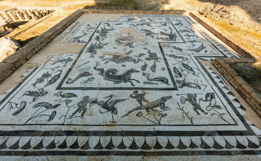 From Seville: Italica Roman City & Medieval Monastery Tour - Mosaics that make Roman homes feel personal