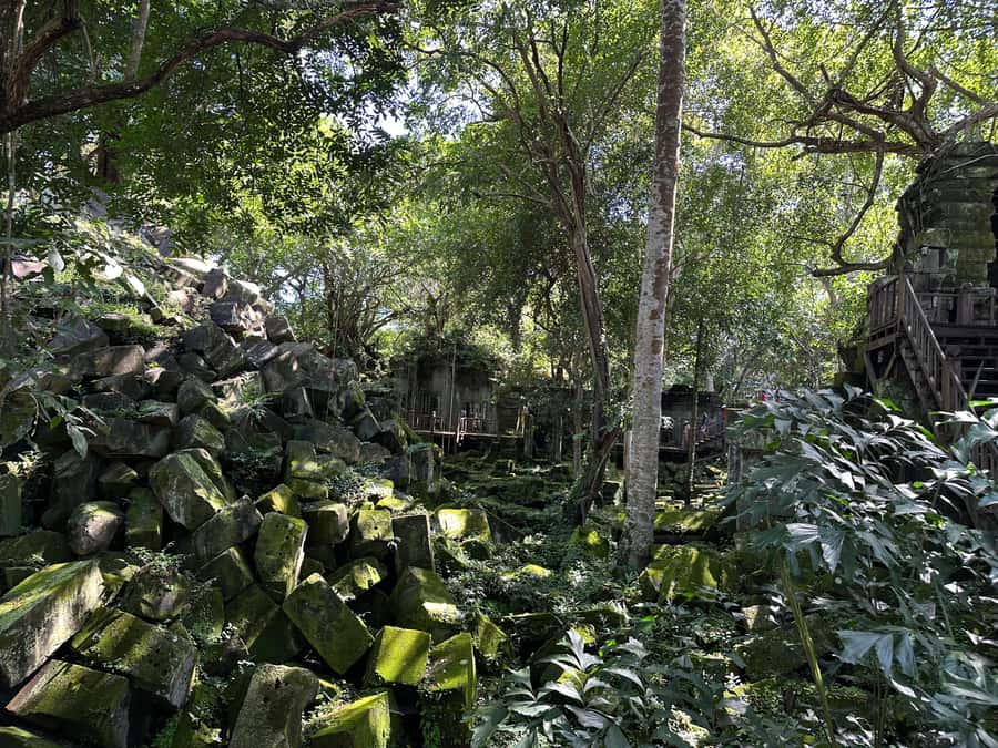 From Siem Reap: Half-Day Tour to Beng Mealea Temple - Morning or afternoon: which departure works best?
