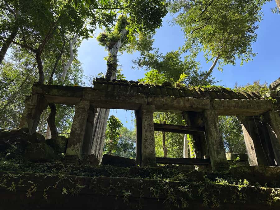 From Siem Reap: Half-Day Tour to Beng Mealea Temple - Practical details that matter