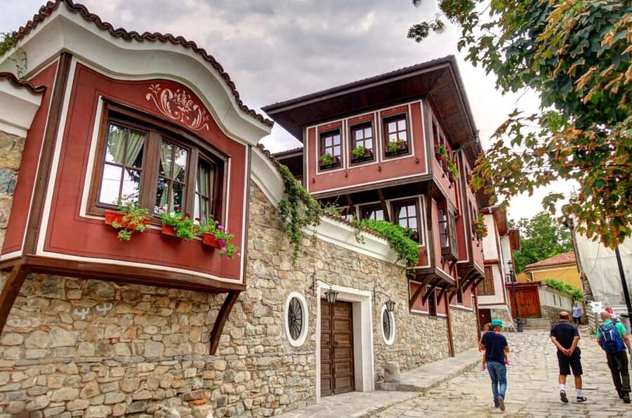 From Sofia: Plovdiv and Rila Monastery tour in one day - The guide and driver experience