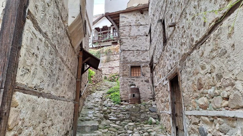From Sofia: Rila Monastery & Melnik Day Tour - Free time at Rila Monastery