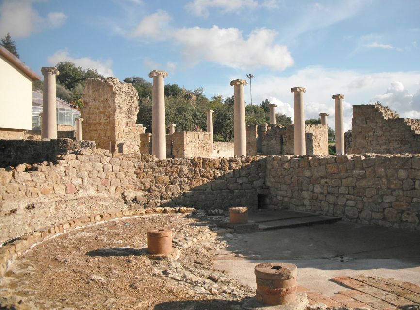 From Taormina: Valley of The Temples & Piazza Armerina Tour - Who will enjoy this excursion most