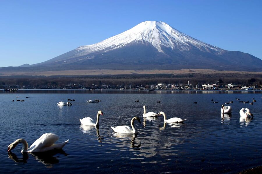 From Tokyo: Fuji Mountain Area - FujiQ - Lake Kawaguchiko - Chureito Pagoda - Why this private Fuji day trip works