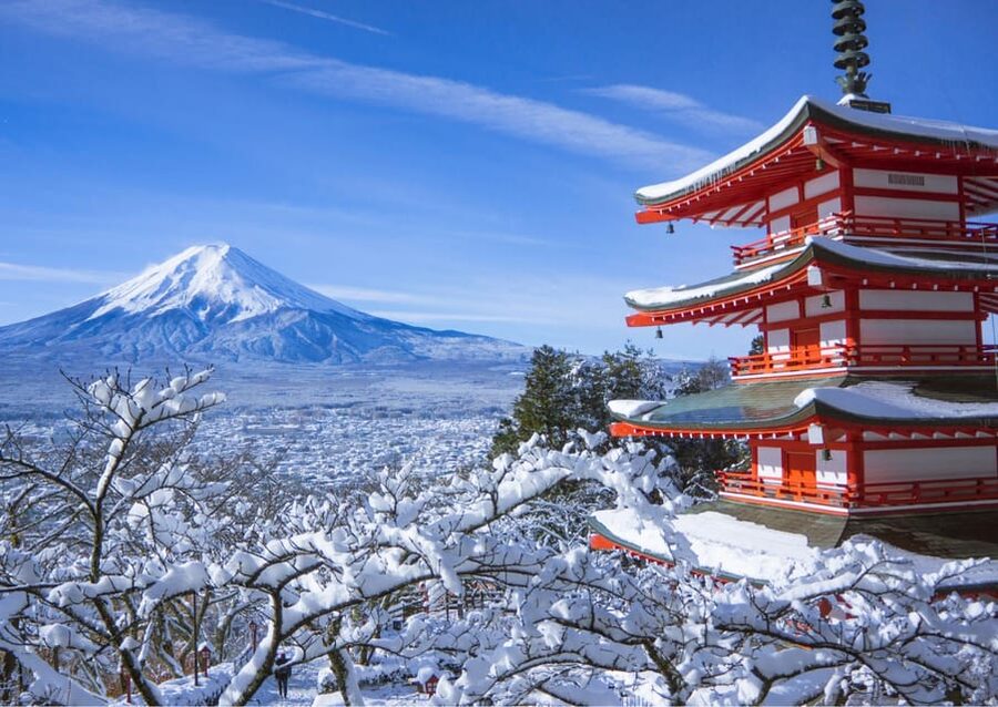From Tokyo: Fuji Mountain Area - FujiQ - Lake Kawaguchiko - Chureito Pagoda - Lake Kawaguchiko, with time for an optional ride