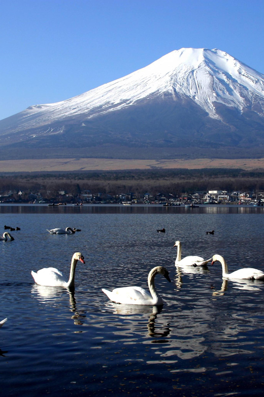 From Tokyo: Fuji Mountain Area - FujiQ - Lake Kawaguchiko - Chureito Pagoda - Chureito Pagoda and the famous five-story view