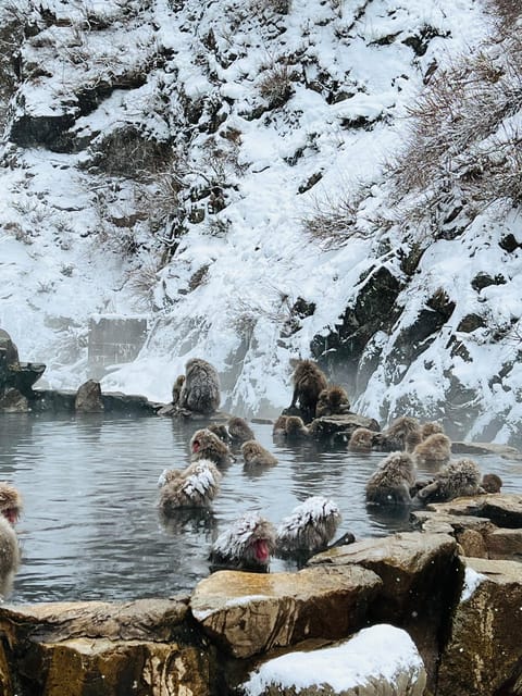 From Tokyo: Nagano Snow Monkey Park Zenkoji Temple Day Trip - Obuse, where a small-town stop breaks up the day