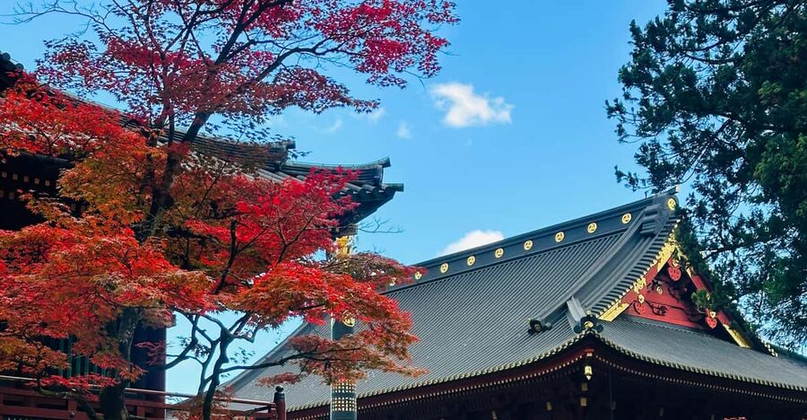 From Tokyo: Nikko Customize private Tour With English Driver - Key points at a glance