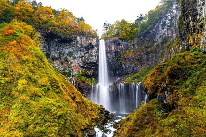 From Tokyo: Nikko Toshogu Shrine and Kegon Waterfall Tour - Toshogu Shrine: give the carvings your full attention