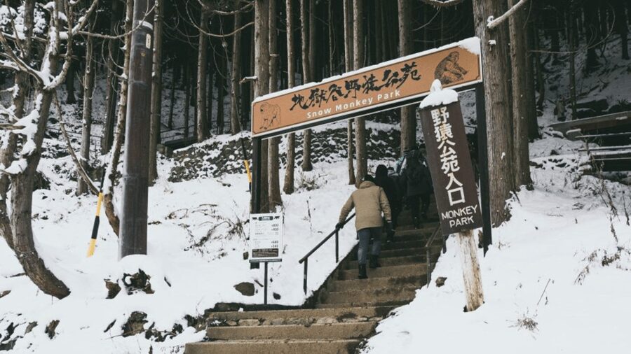 From Tokyo: Private Tour Snow Monkey Park & Zenko-ji Temple - Matsushiro Castle Ruins add a samurai chapter