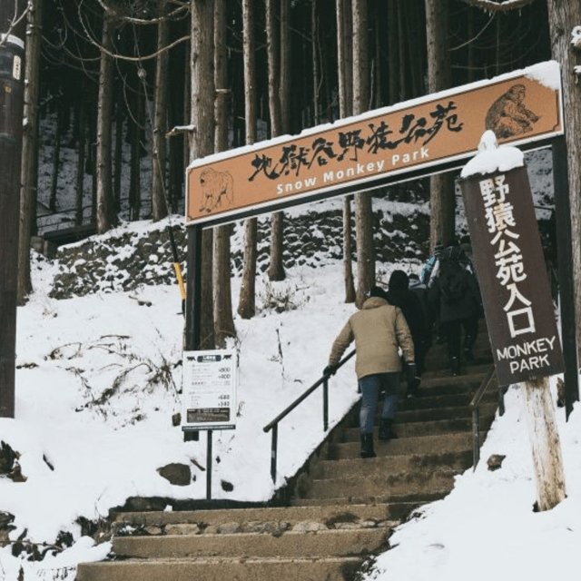 From Tokyo: Snow Monkey Park & Zenko-ji Temple Private Tour - Zenko-ji Temple and the spiritual side of Nagano