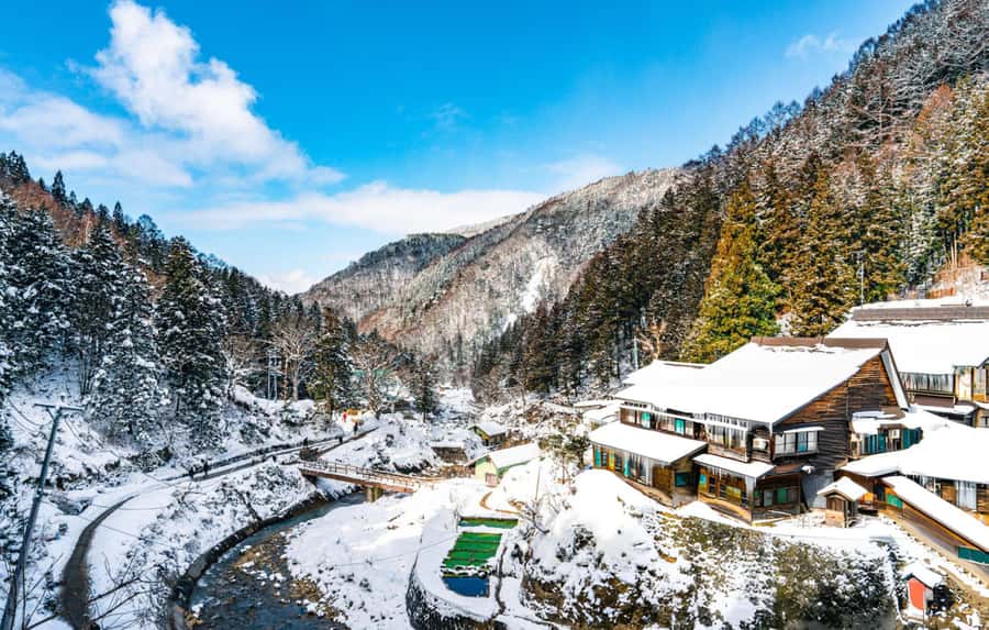 From Tokyo: Snow Monkeys and Zenkoji Temple Day Trip - Weather, clothing, and physical demands