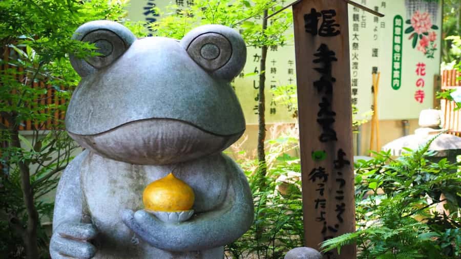 Fukuoka: Beppu Hells HotSpring, Frog Temple & Yufuin DayTrip - Beppu’s Hells: brilliant colors and serious heat