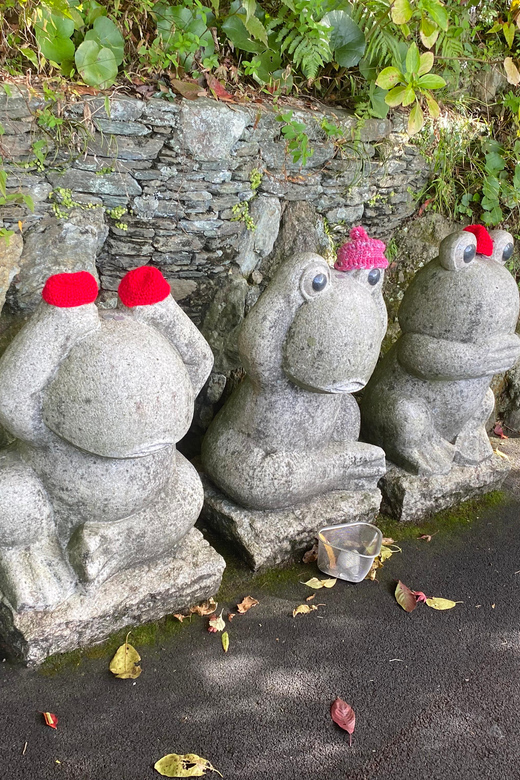 Fukuoka: Nanzoin Temple and Reclining Buddha Guided Tour - What the $65 price really buys you