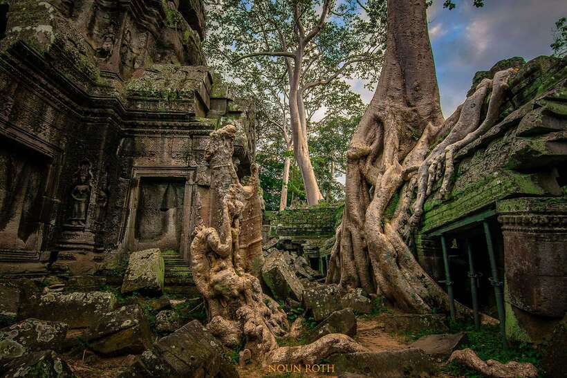 Full-Day Angkor Wat Sunrise and Sunset Private Tour - Ta Prohm and the famous tree roots