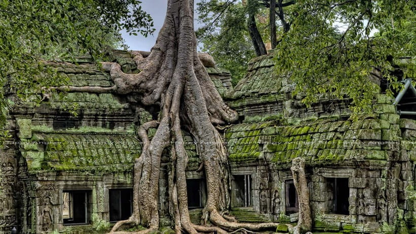 Full-Day Angkor Wat Sunrise and Sunset Private Tour - Lunch near the temples and the need for a real break