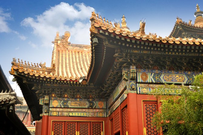 Full-Day Beijing City Tour: Hutongs, Lama Temple and Panda House - Why this Beijing day tour works