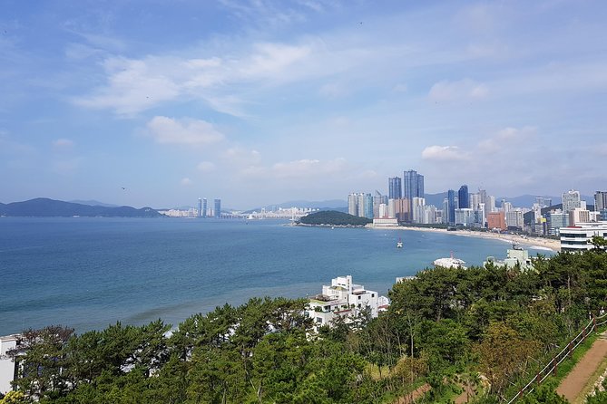 Full Day Busan Tour Including Haedong Yonggungsa Temple - Five useful things to know before booking