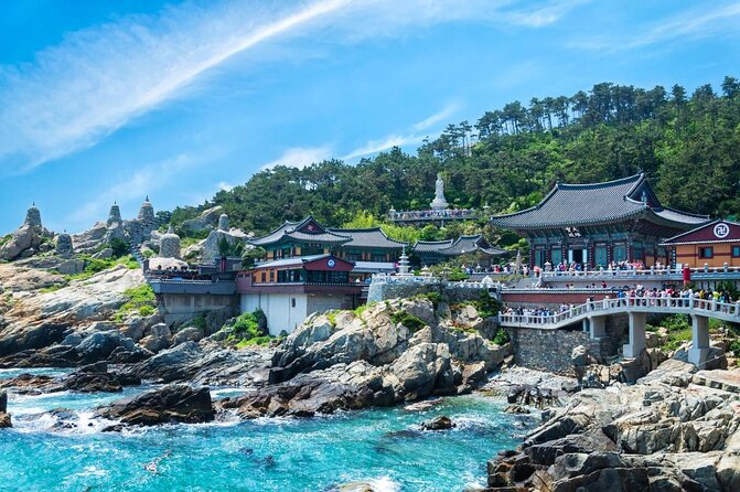 Full Day Busan Tour Including Haedong Yonggungsa Temple - Why this Busan day works for first-time visitors