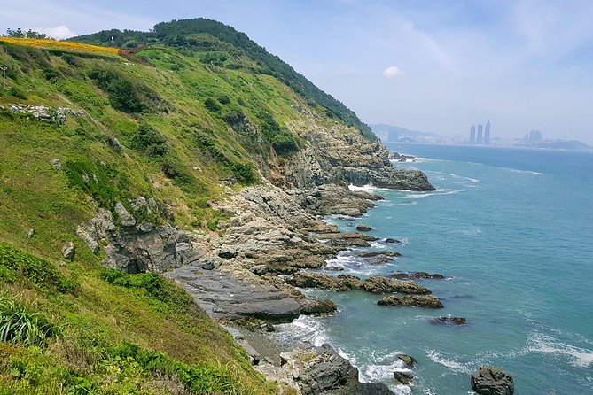 Full Day Busan Tour Including Haedong Yonggungsa Temple - Haedong Yonggungsa: the day’s essential stop