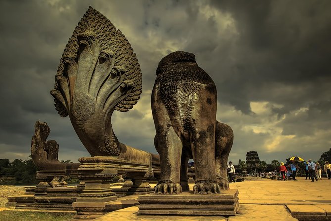 Full-Day Guided Sunset Tour of Angkor Wat - Ta Prohm and the roots that made it famous