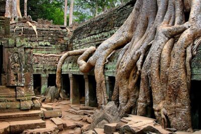 Full-Day Guided Sunset Tour of Angkor Wat