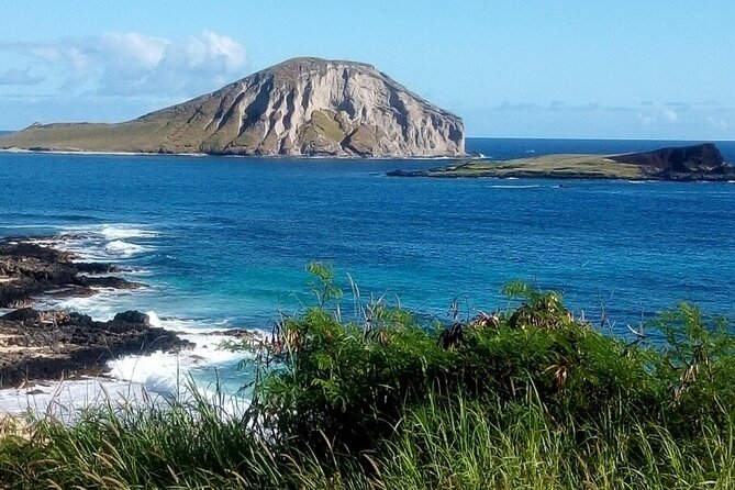 Full Day Oahu Tour with Byodo Temple & Waimea Waterfalls - North Shore lunch and roadside flavor