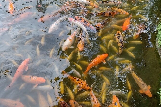 Full Day Oahu Tour with Byodo Temple & Waimea Waterfalls - Timing, comfort, and what to pack