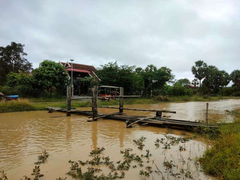Full-day: Original bamboo train, Wat Banan, Phnom Sampov - Sticky rice, fruit bats, and rural Cambodia