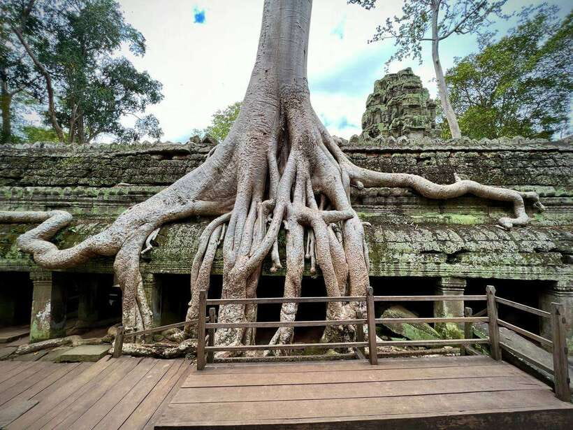 Full Day Private of Angkor Wat Tour with Tuk Tuk - What the driver service can and cannot provide