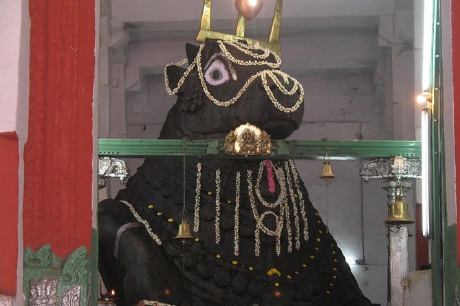 Full Day Private Tour of Temples of Bengaluru - What the $199 price really covers