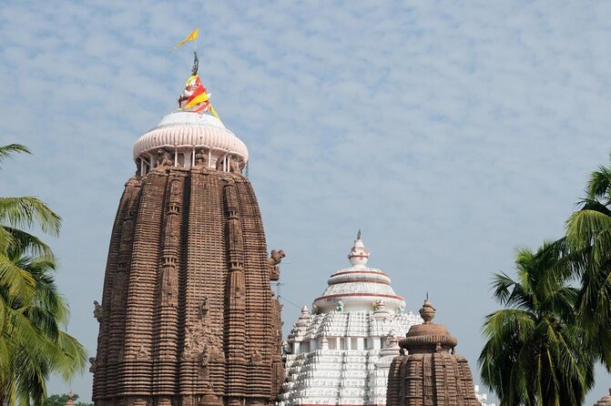 Full Day Tour of Konark Temple and Puri - Key points at a glance