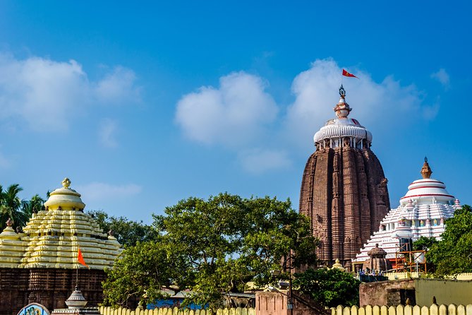 Full Day Tour of Konark Temple and Puri - Why this Bhubaneswar day trip works