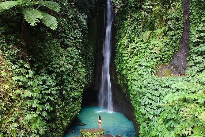 Full-Day Tour to Water Temples and UNESCO Rice Terraces in Bali - Ulun Danu Bratan and the Lake View