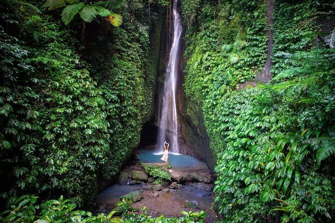 Full-Day Tour to Water Temples and UNESCO Rice Terraces in Bali - Why the Private Driver Matters in Bali