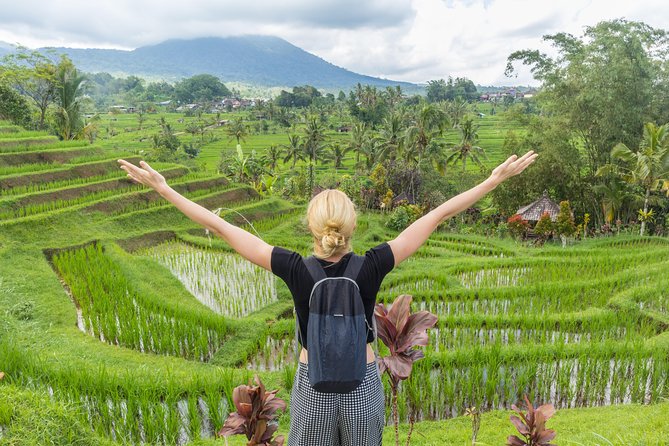 Full-Day Tour to Water Temples and UNESCO Rice Terraces in Bali - How to Get More From the Day