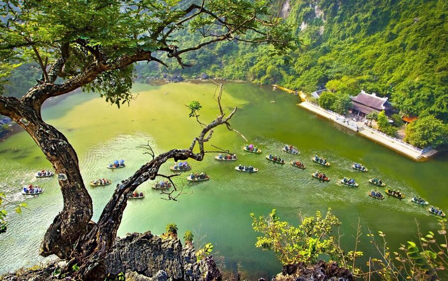 Full Day Trang An, Bich Dong Pagoda, Biking & Family Visit - Cycling Through Tam Coc’s Rice Fields