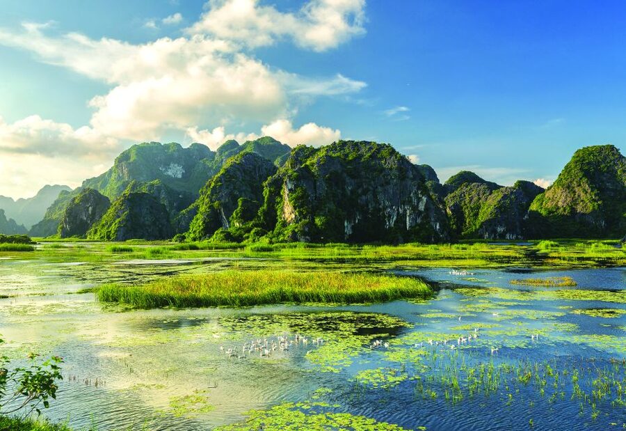 Full Day Trang An, Bich Dong Pagoda, Biking & Family Visit - The Trang An Sampan Ride