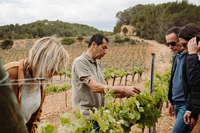 Full-Day Trip Barcelona to Montserrat Monastery & Cava Winery - Lunch among the vines, not just a wine tasting