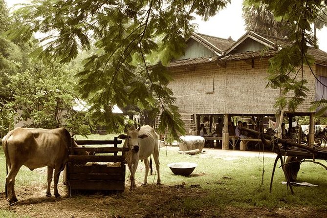Full-day: Wat Banan. Old bamboo train. Bat Cave. Killing cave - Riding Battambang’s bamboo train