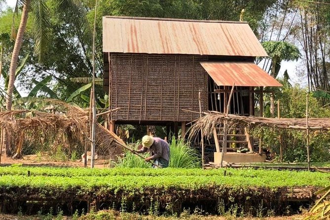 Full-day: Wat Banan. Old bamboo train. Bat Cave. Killing cave - The Killing Cave and Cambodia’s painful past