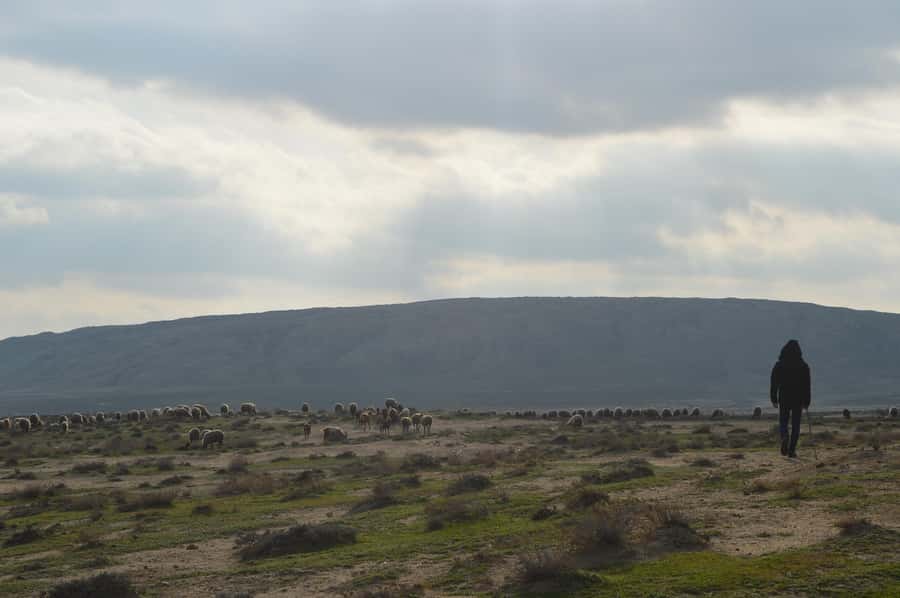 Gobustan, Mud Volcano, Burning Land and Fire Temple Tour - Why this Baku day trip works