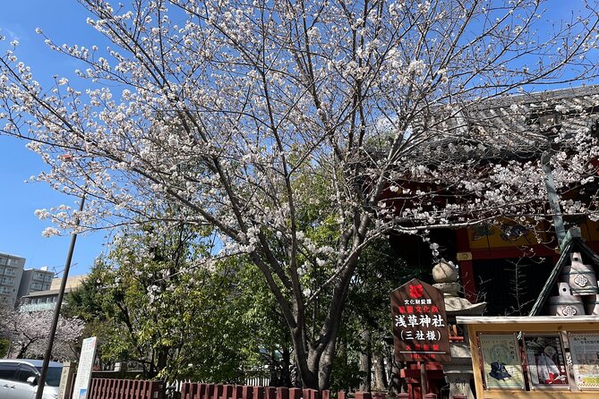 Goshuin Collecting tour at Asakusa Local Temples & Shrines, Tokyo - What the Asakusa goshuin tour is really about