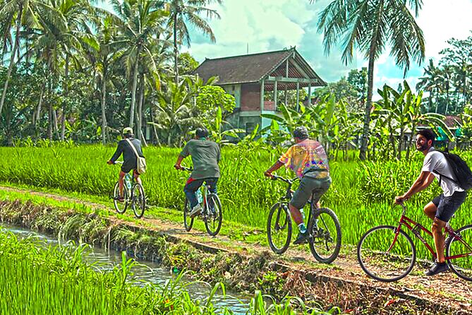 Grand Tour-Ek Phnom. Baset. Bamboo Train. Wat Banan. Phnom Sampov - The bamboo train near Ou Srauo Laou
