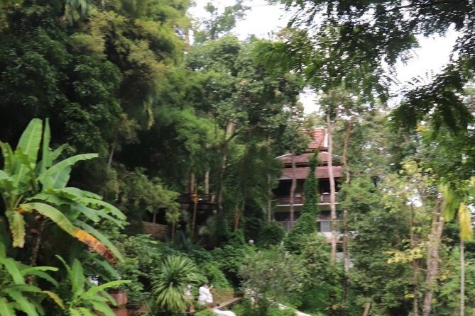 Half Day Morning Wat Pha Lat & Wat Phra That Doi Suthep Tour - The morning pickup and ride up Doi Suthep