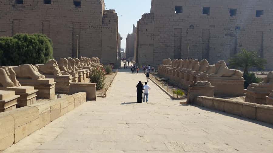 Half day tour to east bank visit Luxor and Karnak Temples - Key points to know before booking