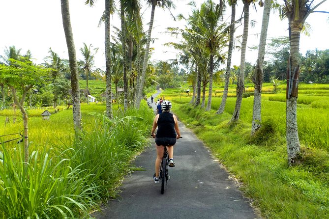 Half-Day Ubud Electric Cycling Tour to Tirta Empul Water Temple - Why an electric bike works so well around Ubud