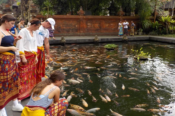Half-Day Ubud Electric Cycling Tour to Tirta Empul Water Temple - Rice paddies, village lanes, and everyday Bali