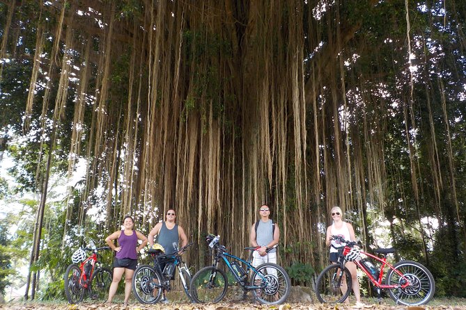 Half-Day Ubud Electric Cycling Tour to Tirta Empul Water Temple - Who should choose this Ubud bike tour