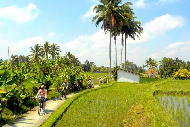 Half-Day Ubud Electric Cycling Tour to Tirta Empul Water Temple - Practical details that affect your morning